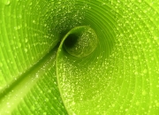 开云官网-曼城生死战力克新西兰，凯塞多主宰年度焦点之战