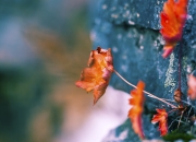 开云体育入口-奥运关键夜，金玟哉制胜一击铸就荣耀之路