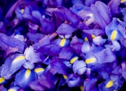 开云体育官网-F1葡萄牙大奖赛，年度争冠焦点战，如巴萨般被掀翻的巨人之战