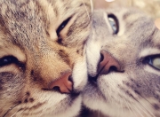 开云官网-萨卡闪耀温布利，独造三球主宰英爱大战，三狮军团排名战展獠牙