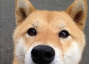 开云体育平台APP-欧冠决赛焦点战，乌拉圭力克比利时，南美荣耀闪耀欧洲之巅