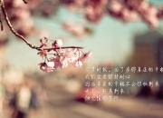 开云体育官网-防守的艺术，从楚阿梅尼的铁闸到伊朗的纪律，看阿森纳如何诠释现代足球的坚固之基