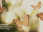 开云平台-掘金雷霆破长空，老鹰加时猎雄鹿，英雄交响曲的双重变奏