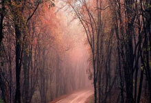 开云体育在线-南安普顿主场不敌布莱顿,吞下败果