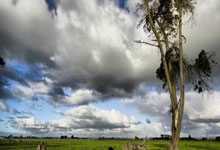 开云平台-扬眉吐气:低迷劲旅赢得关键胜利