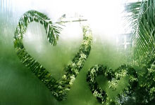 开云体育-西雅图海湾者全队士气高昂,冲击世俱杯更高荣誉