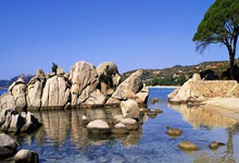 开云APP-破风者登顶!某国选手以血肉之躯撕裂赛道,自行车史诗级逆袭震撼世界