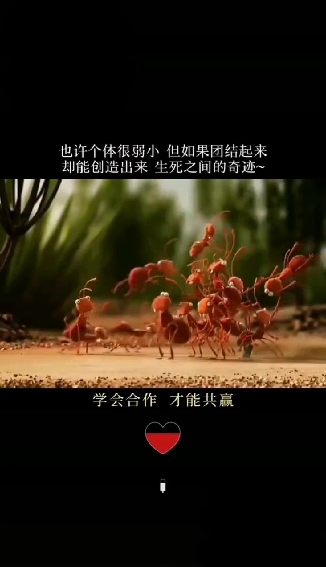 国家队选手团结一心，实力倍增的简单介绍