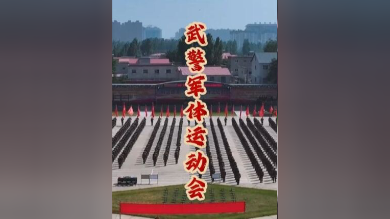 精彩对决，场上技战术较量，胜者至关重要的简单介绍