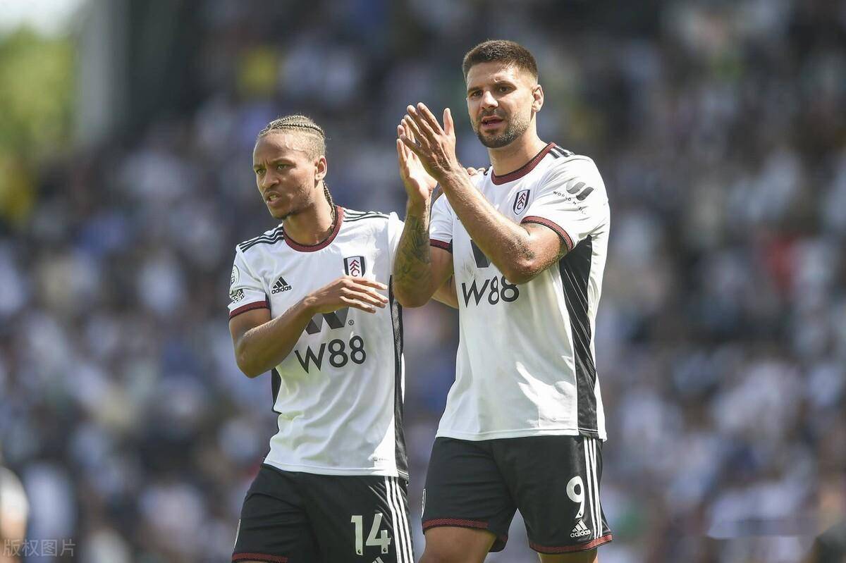 富勒姆主场告捷,米特洛维奇发威的简单介绍 富勒姆主场告捷,米特洛维奇发威的简单介绍