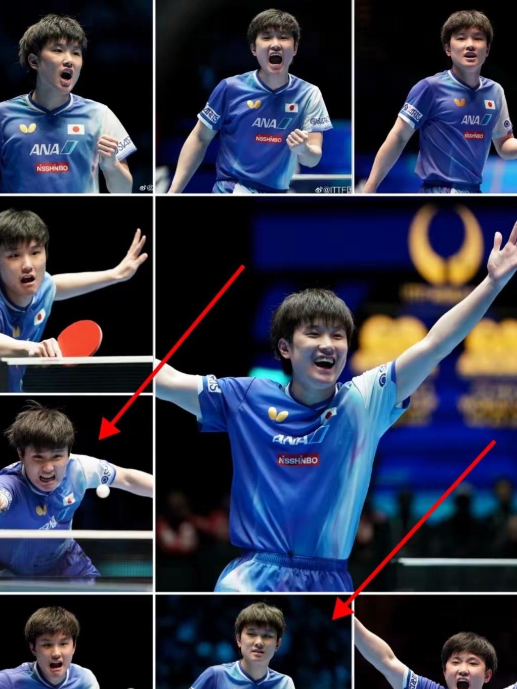 关于英国乒乓球队鏖战法国乒乓球队，张本智和制霸全场的信息