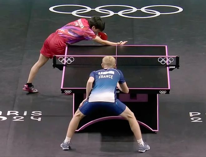 法国队轻取波兰队,张本智和高光表现 法国队轻取波兰队,张本智和高光表现