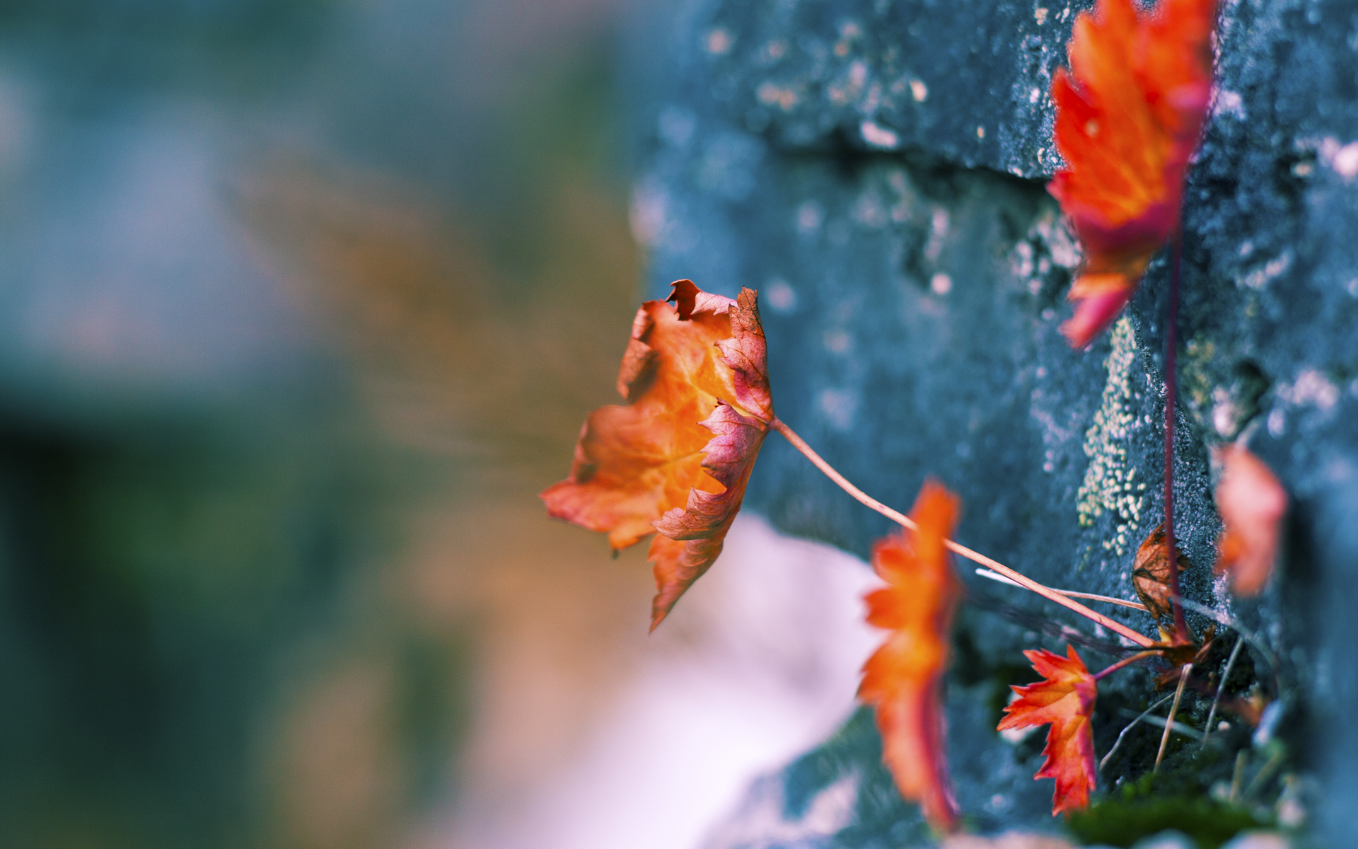 奥运关键夜，金玟哉制胜一击铸就荣耀之路