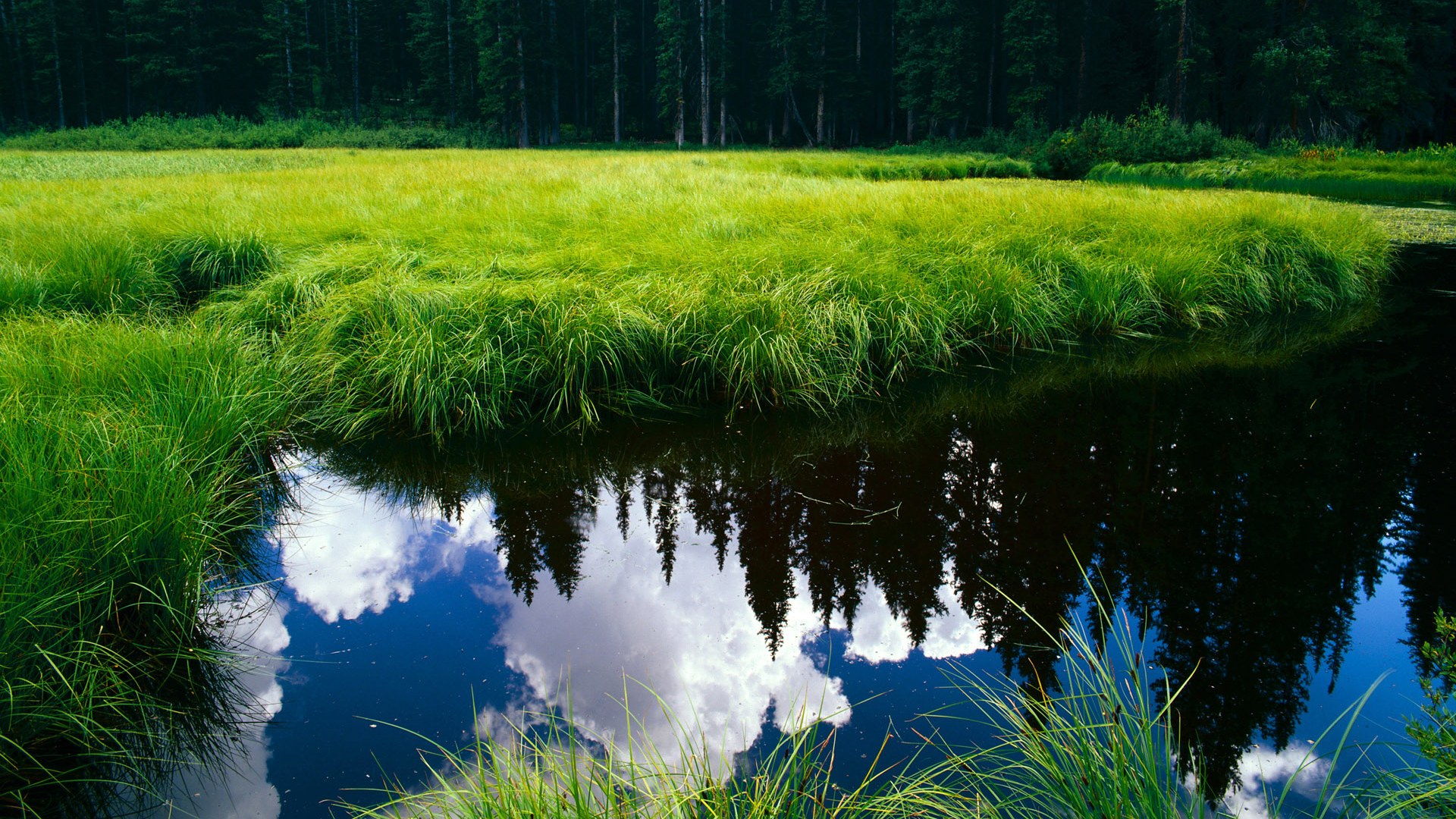 76人主场狂胜黄蜂，豪斯浓眉化身扭转战局关键先生