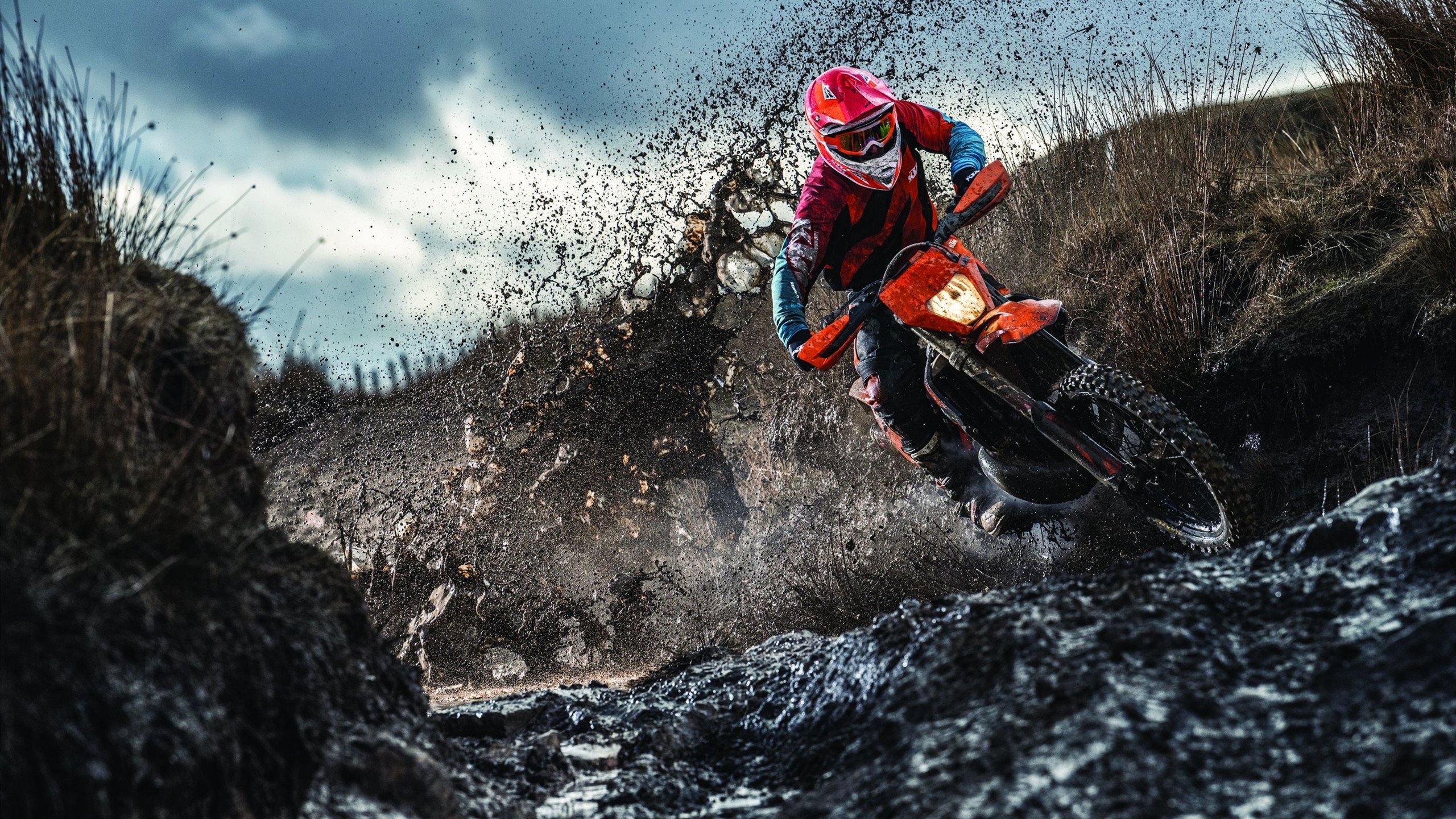 奇才黑马逆袭终结尼克斯连胜神话,哈利伯顿一战封神诠释何为关键先生