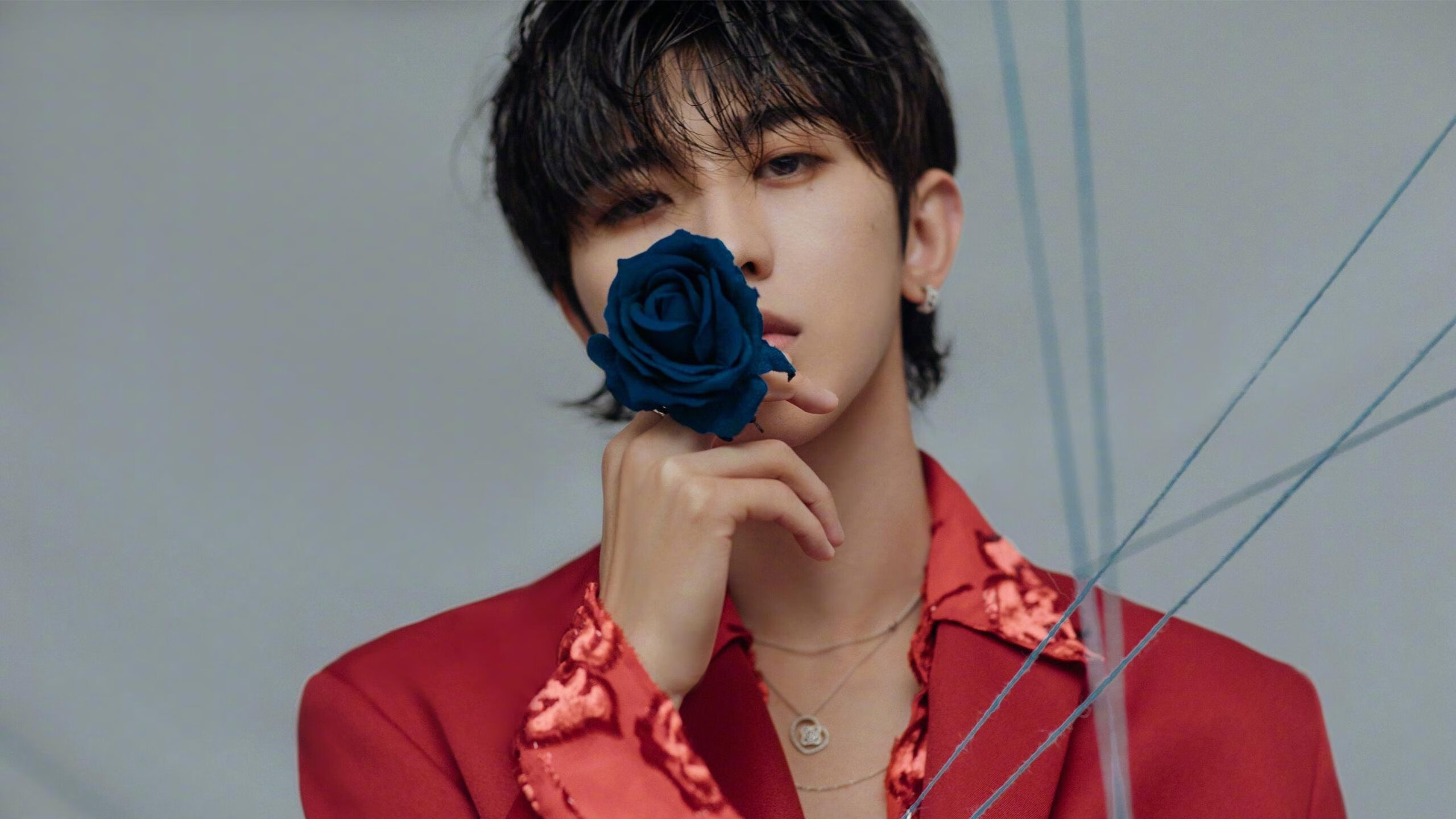 王牌坠落与重生，武切维奇数据爆炸之夜，公牛逆袭背后的孤胆史诗