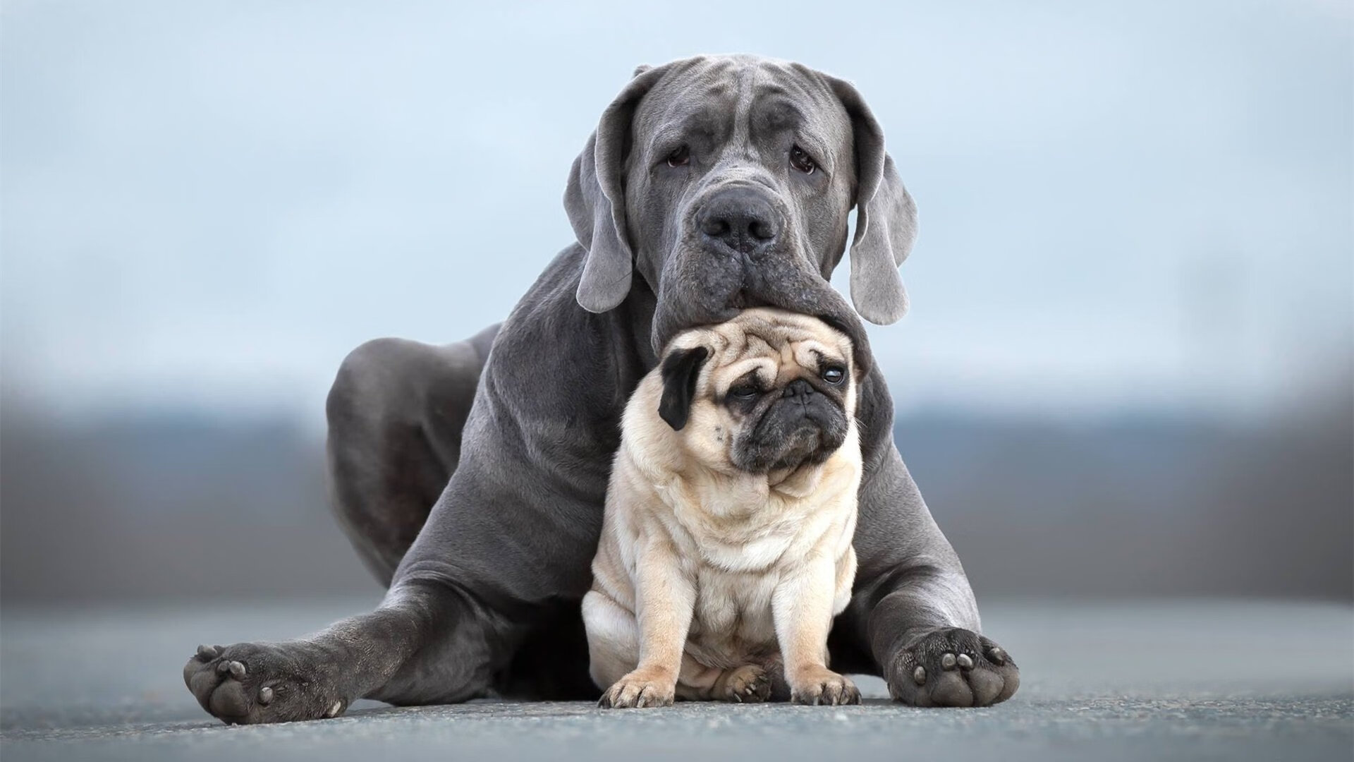 奥亚尔萨瓦尔一锤定音,佛罗伦萨争冠战险胜新西兰