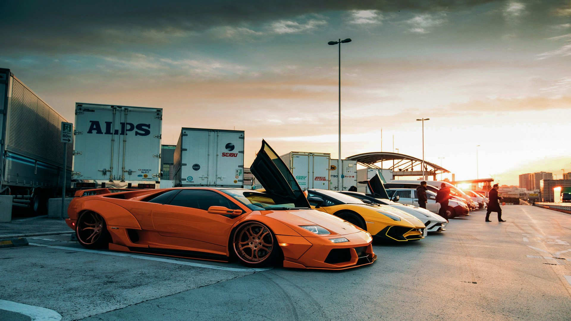 太阳的燃烧，浓眉的倔强