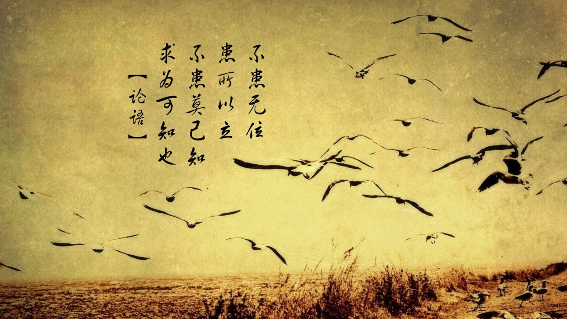 赛道与球场的双雄会，F1争冠焦点战与北京队强行终结国王的启示