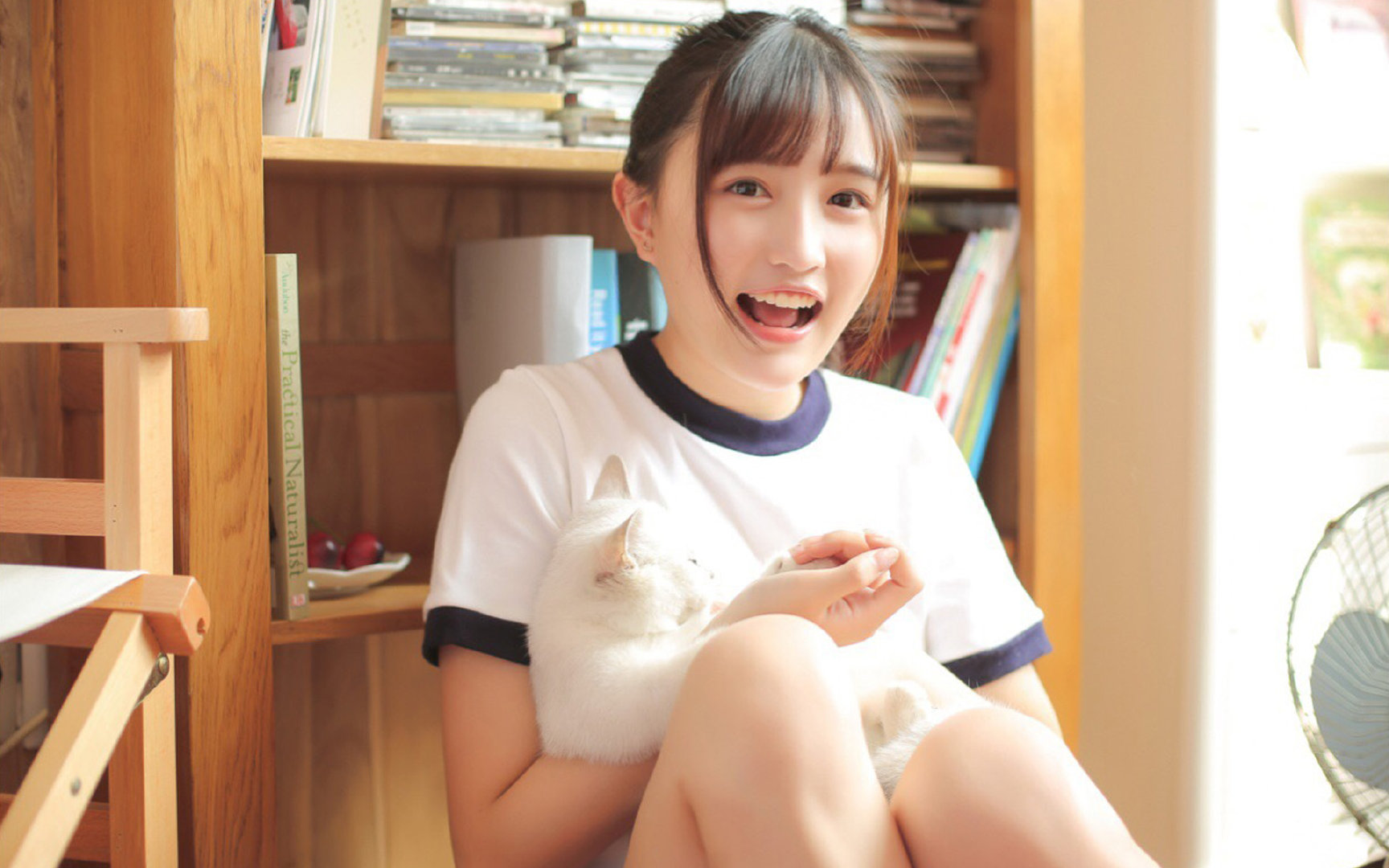 暗夜与黎明，当德甲争冠的精密齿轮，咬合喀麦隆的狂野刀锋