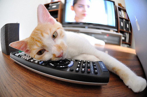 沉默杀手雷霆击碎王朝，当伦纳德在抢七接管比赛