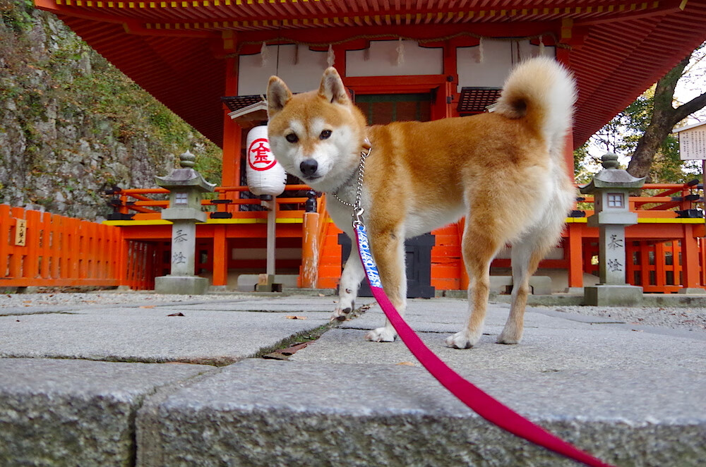 魔术加时取胜快船，克莱硬仗之王精神铸就经典