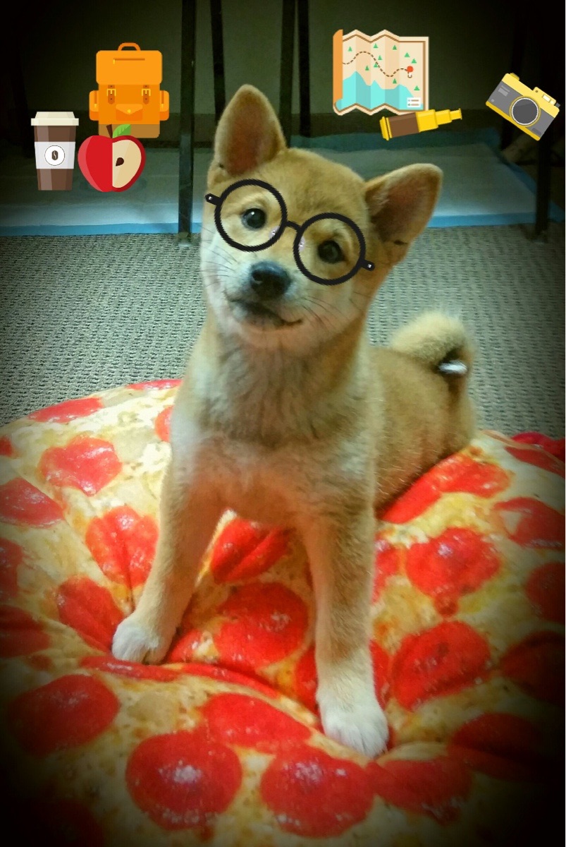 跨界接管，当拉文在F1揭幕战踩下油门